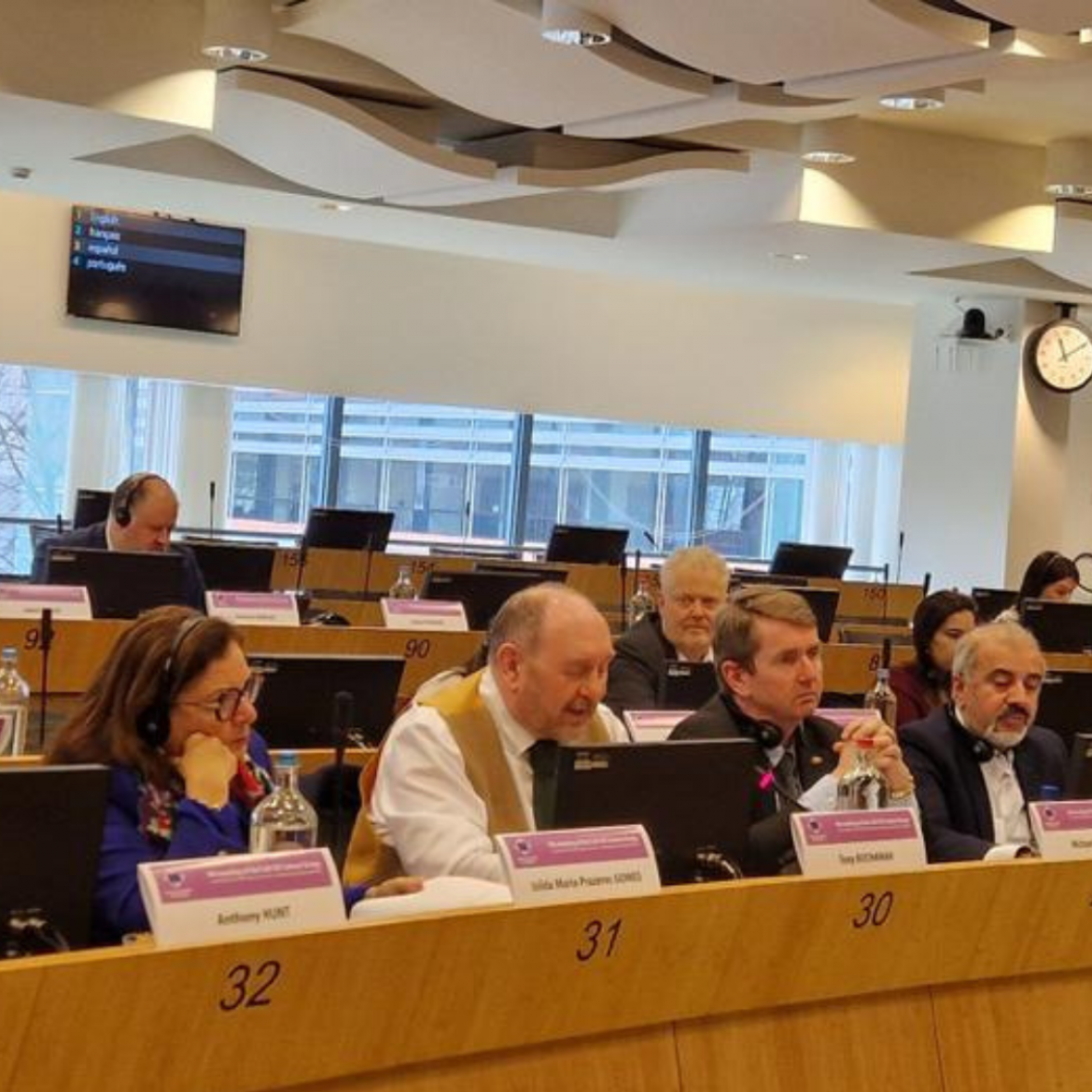 Some people speaking in European Parliament.