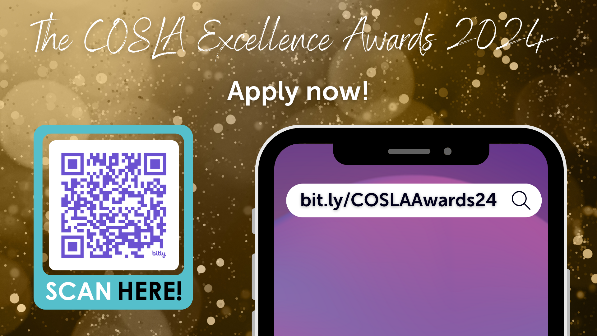 Click here to go to the online application for the 2024 COSLA Excellence Awards
